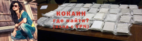 сатива Зеленокумск