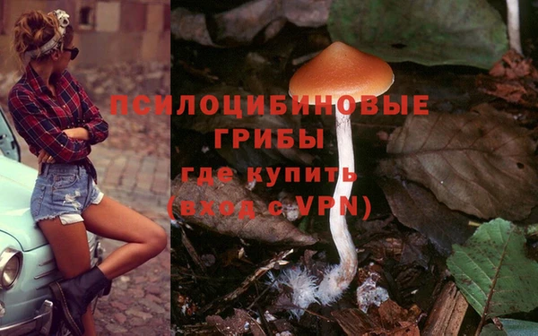 сатива Зеленокумск