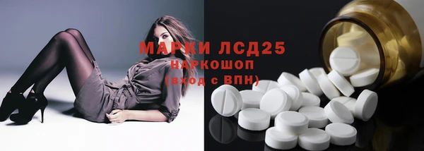сатива Зеленокумск