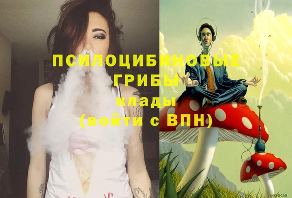 spice Зерноград