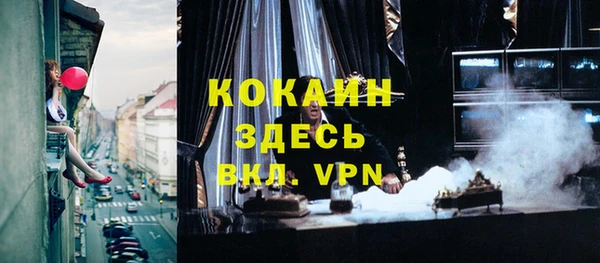 сатива Зеленокумск
