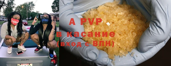 сатива Зеленокумск